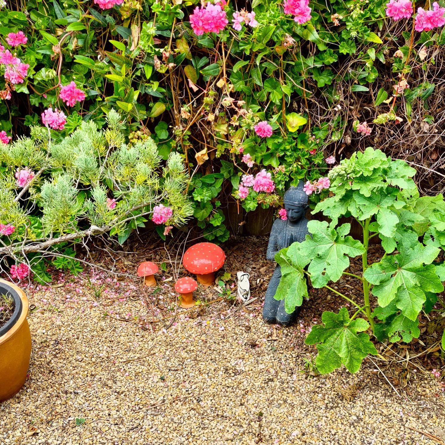 Gumnut Getaway Bnb Goolwa North Buitenkant foto