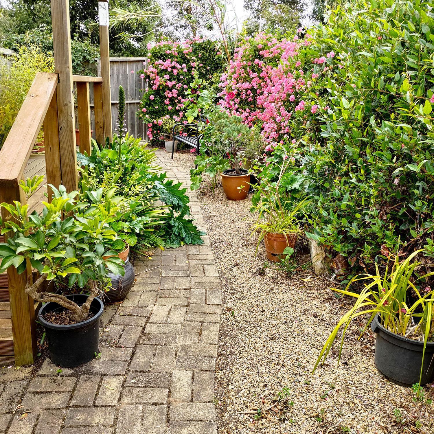 Gumnut Getaway Bnb Goolwa North Buitenkant foto